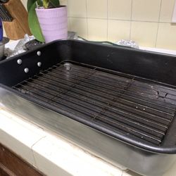 Large Metal Roaster 12x 16. Reduced 