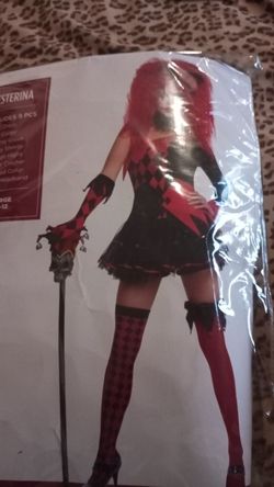 Jesterina Costume