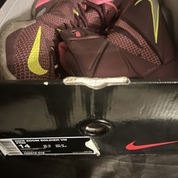 Nike LeBron James Sneakers 