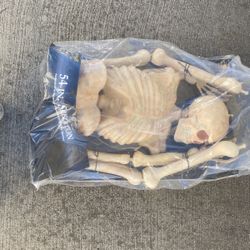 54 Inch Skeleton 