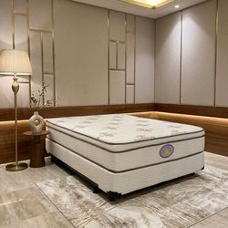 New queen mattress and box spring. 2 pc bed frame is not included