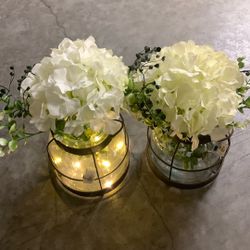 Glass Flowers Vases 