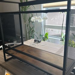 Hanging Shelf
