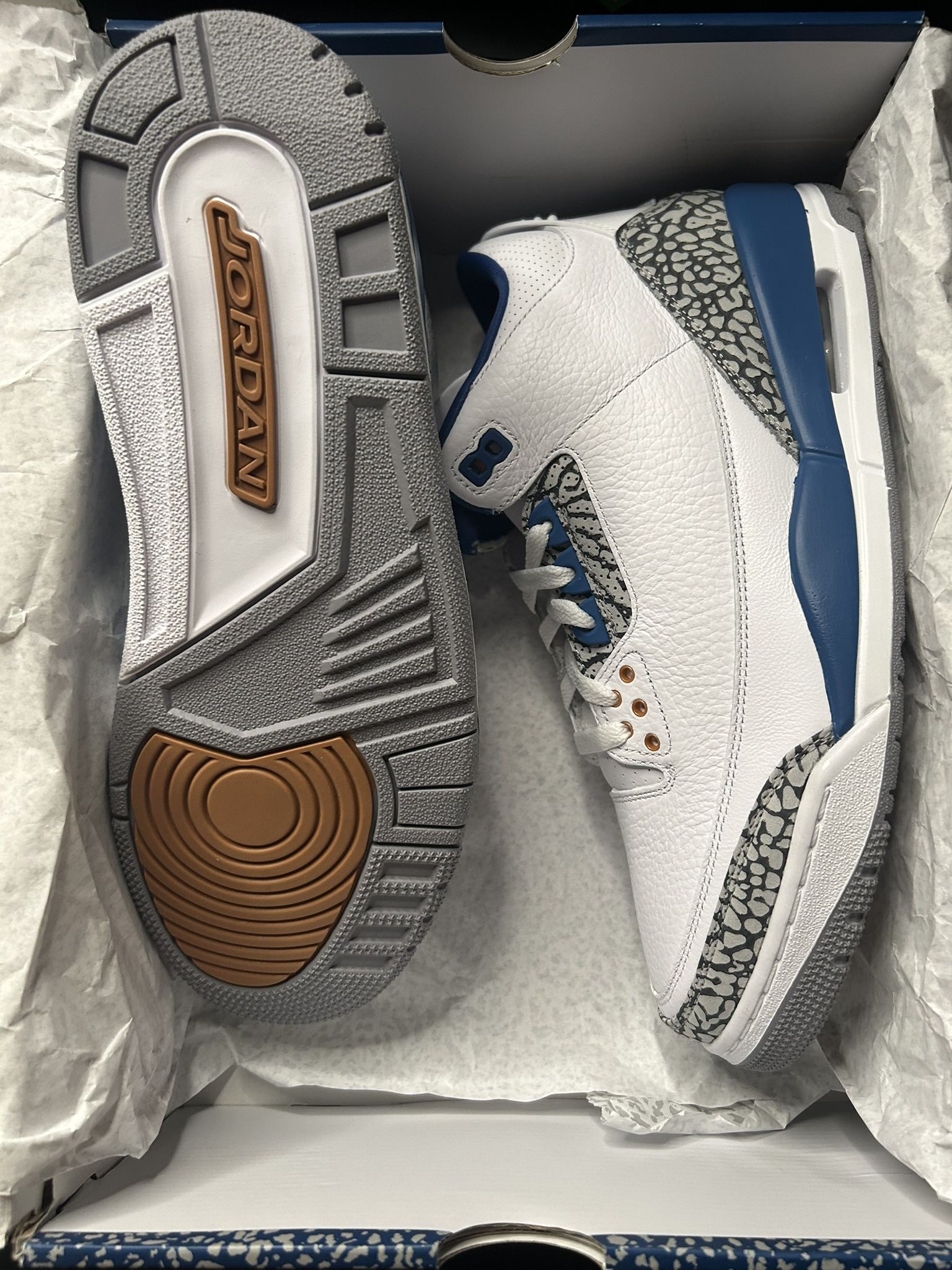 Jordan 3 Wizards Size 11 New