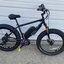 Custom Fat Tire E-bike 1000w Very Fast!