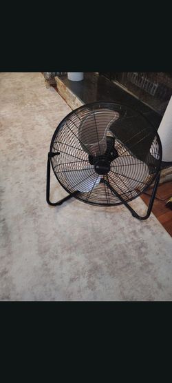 Fan
