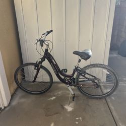 Trek Navigator 2.0 Pedal Bike 