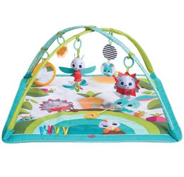 Tiny Love Gymini Move And Play Activity Gym