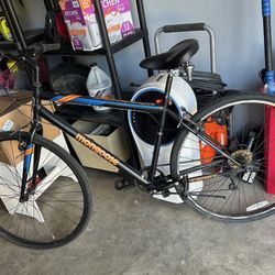 Adult Bike