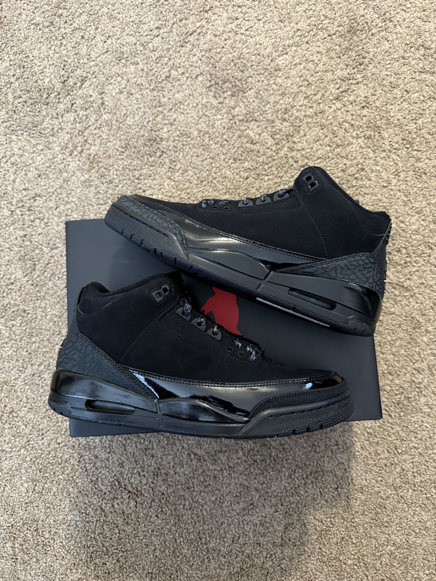 Jordan 3 Black Cats (2025)