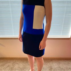Vince Camuto Dress Size 4