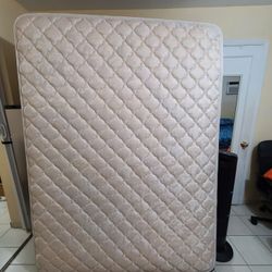 Mattress Queen Size Great Condition.