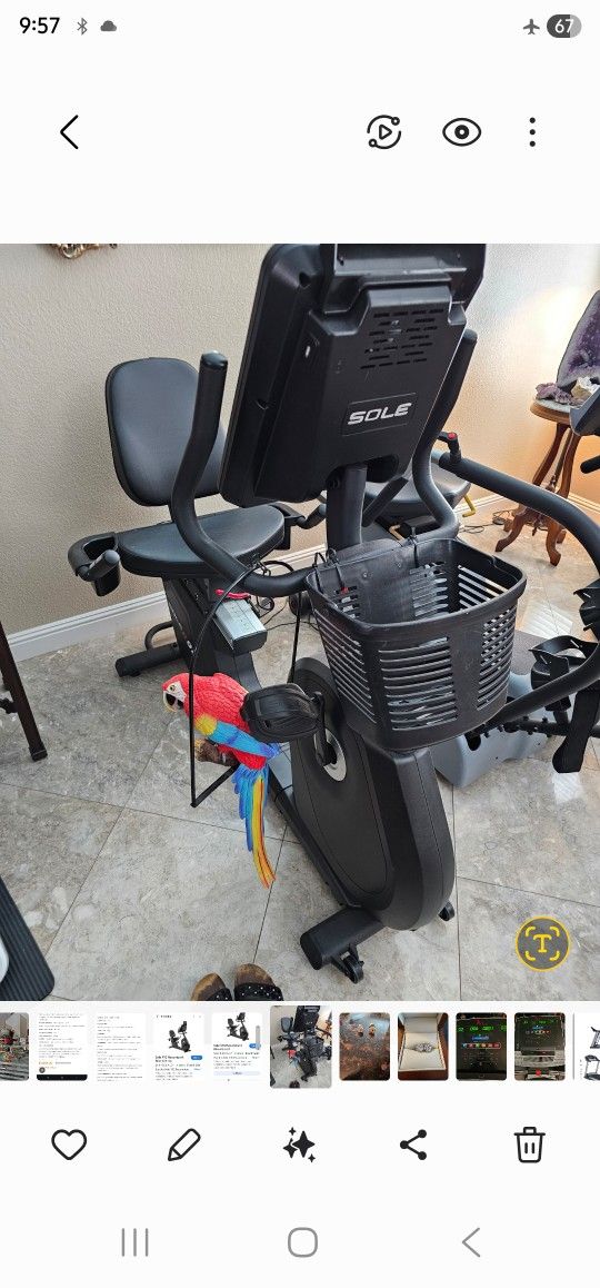 Sole Recumbent Bike