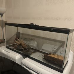 60 Gallon Terrarium W/ UV Light