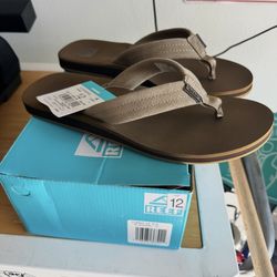 New In Box Reef Sandals Size 12