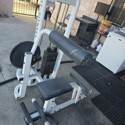 AB Abdominal And Back Fitness Workout Exercise Home Gym Weight Machine 