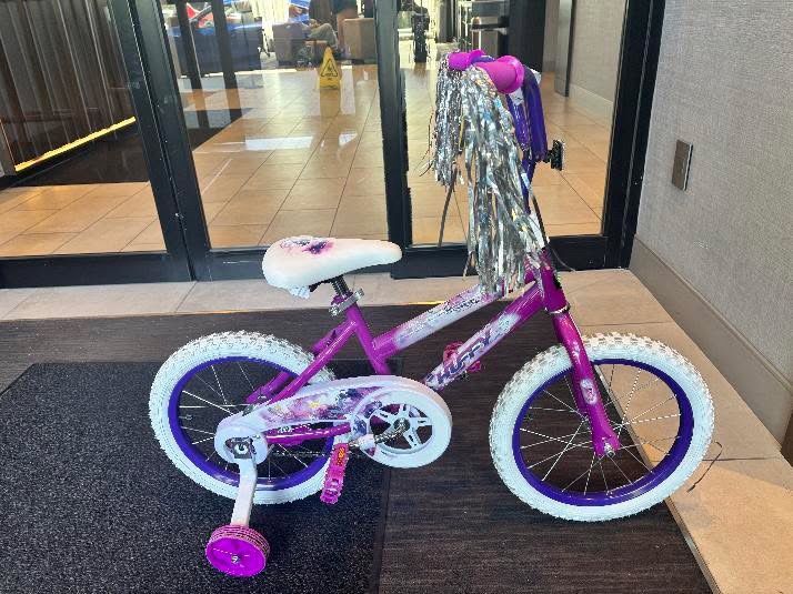 Girl Kid’s (2-6 Yrs) Bike