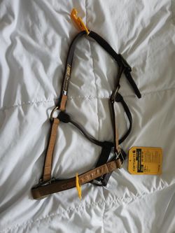 Carhartt Horse Halter Small Size