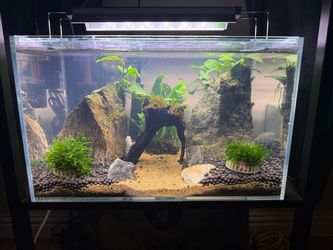 UNS 5N aquarium