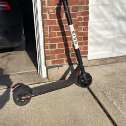 Bird Electric Scooter