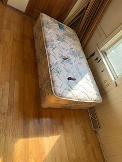 sealy twin mattress