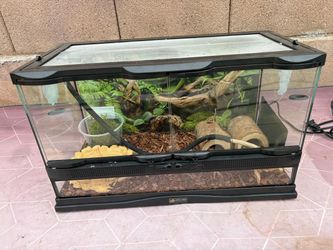 Complete Zoo Med Glass Terrarium Set/Up +Extras