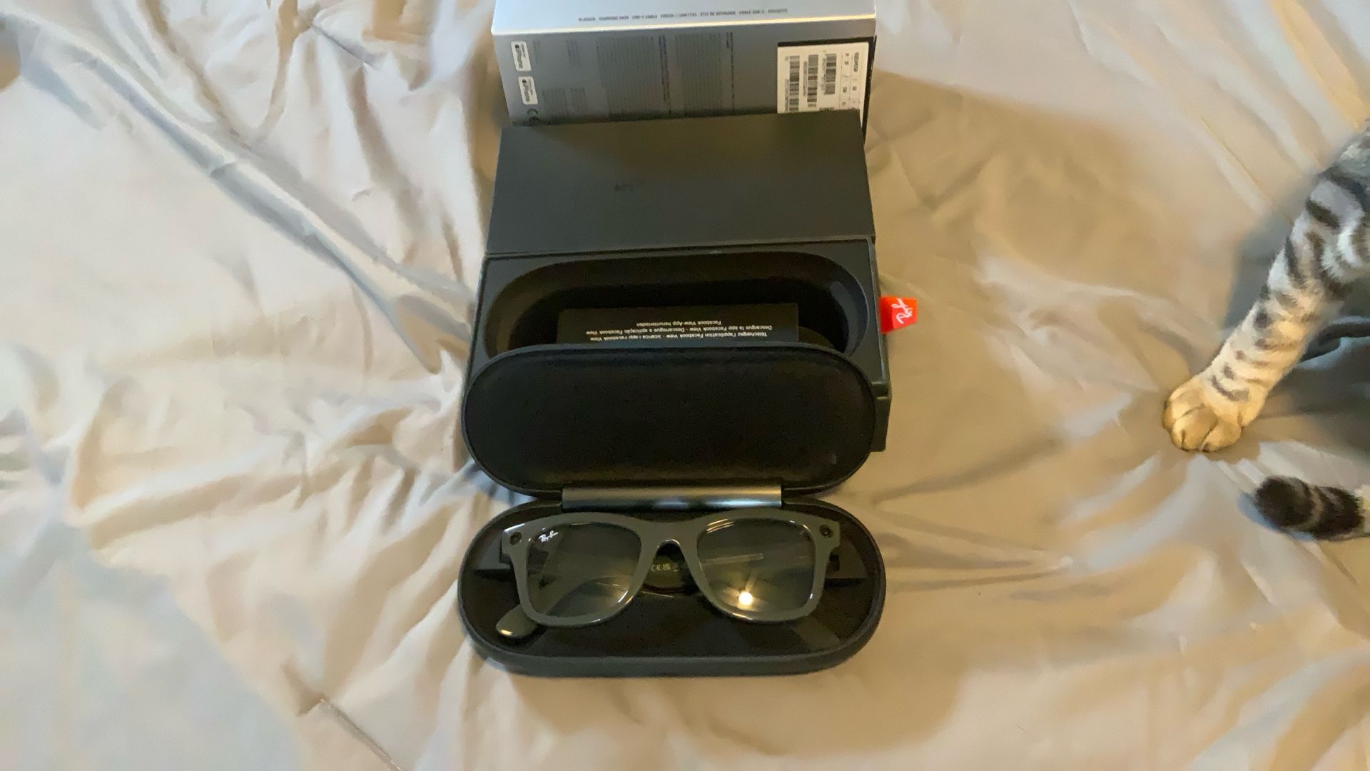 Ray- Ban Stories Wayfarer, Shiny Olive Frame,Transitions Lens