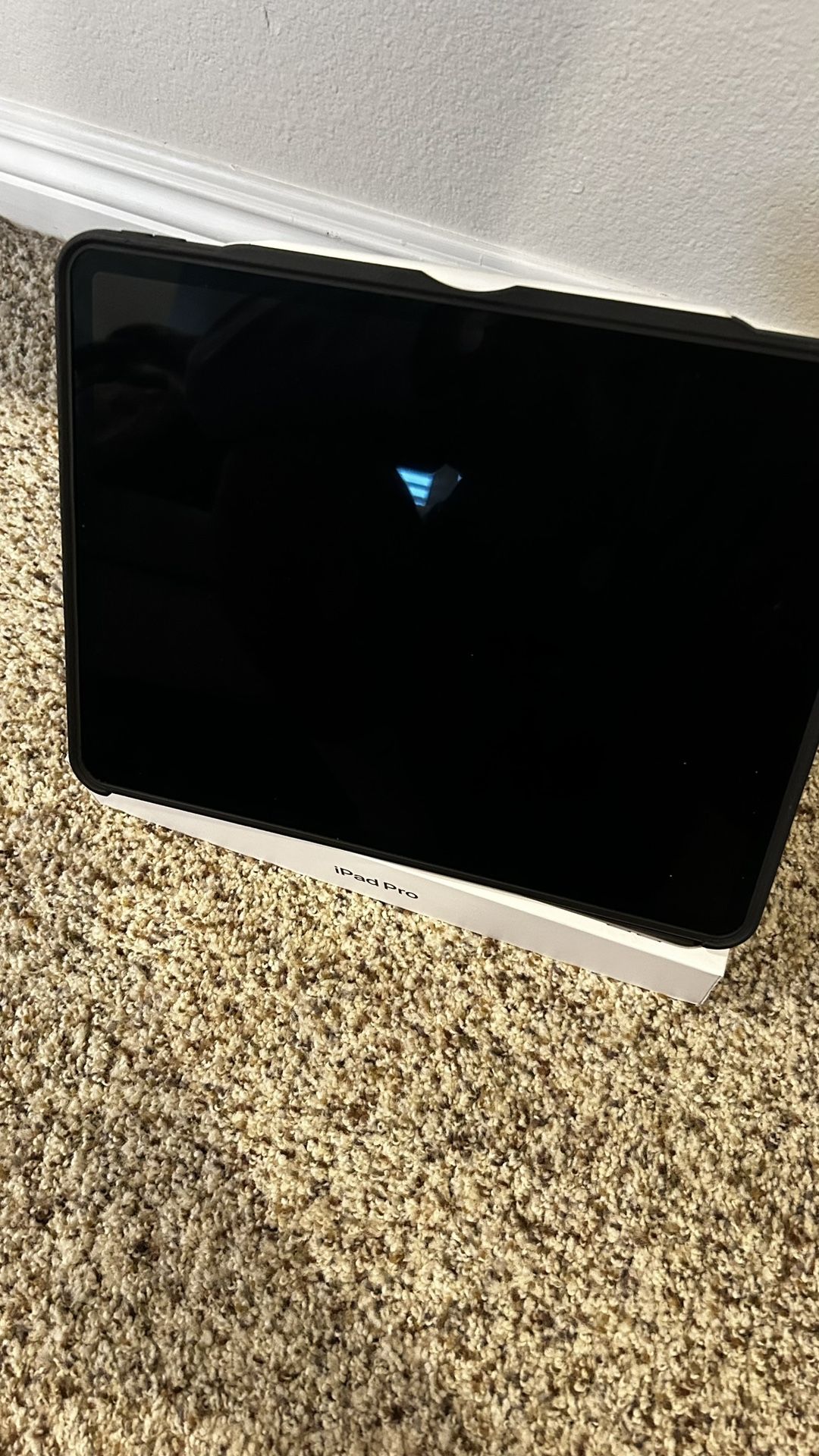 iPad Pro 12.9 256GB (5th Gen)