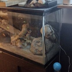 Reptile Tank/Fish Tank
