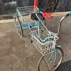 Tricycle bike