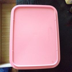 Tupperware Mold