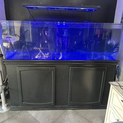 225 Gallon Reef Tank 