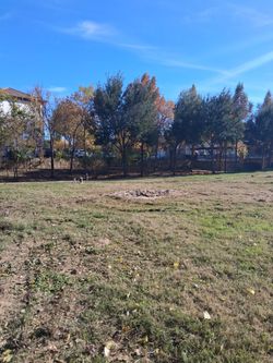 Asemos Linpieza De Terrenos 