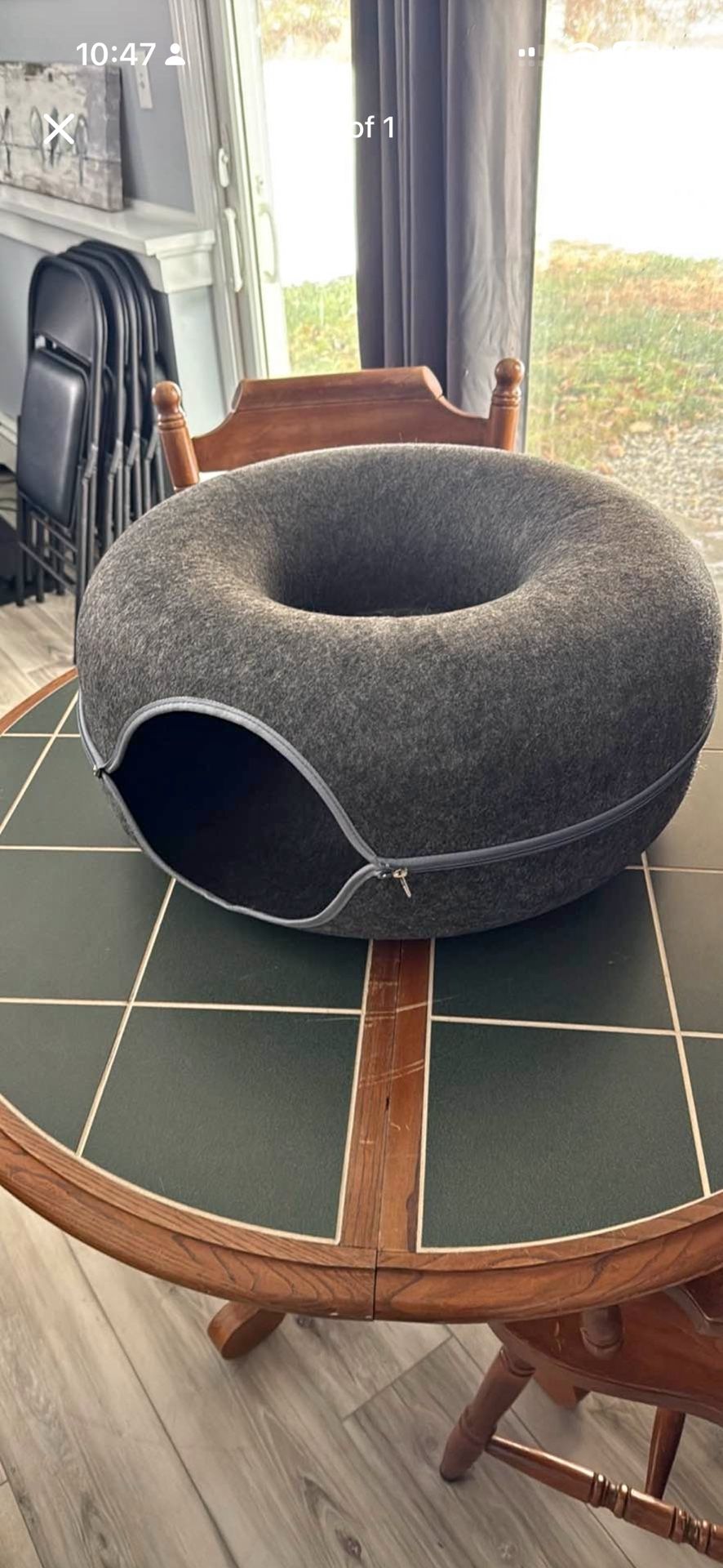 Cat Doughnut, And Tunnel