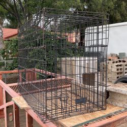 Dog Cage