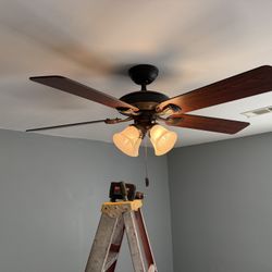 Hunter Ceiling Fan