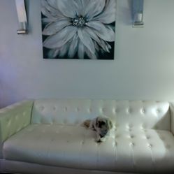 White Sofa 