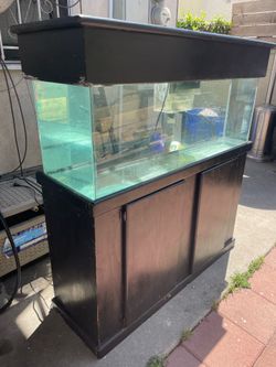 60 Gallon Aquarium w/ Stand, Sump & 50 lbs Live Rock – Saltwater Ready