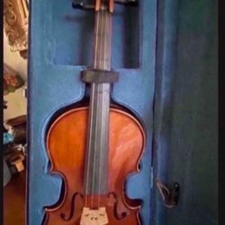 Carina violin italian engineering  