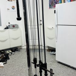 IF THE POST IS UP, IT’S AVAILABLE. Valor Fitness BD-62 Gym Workout Equipment 