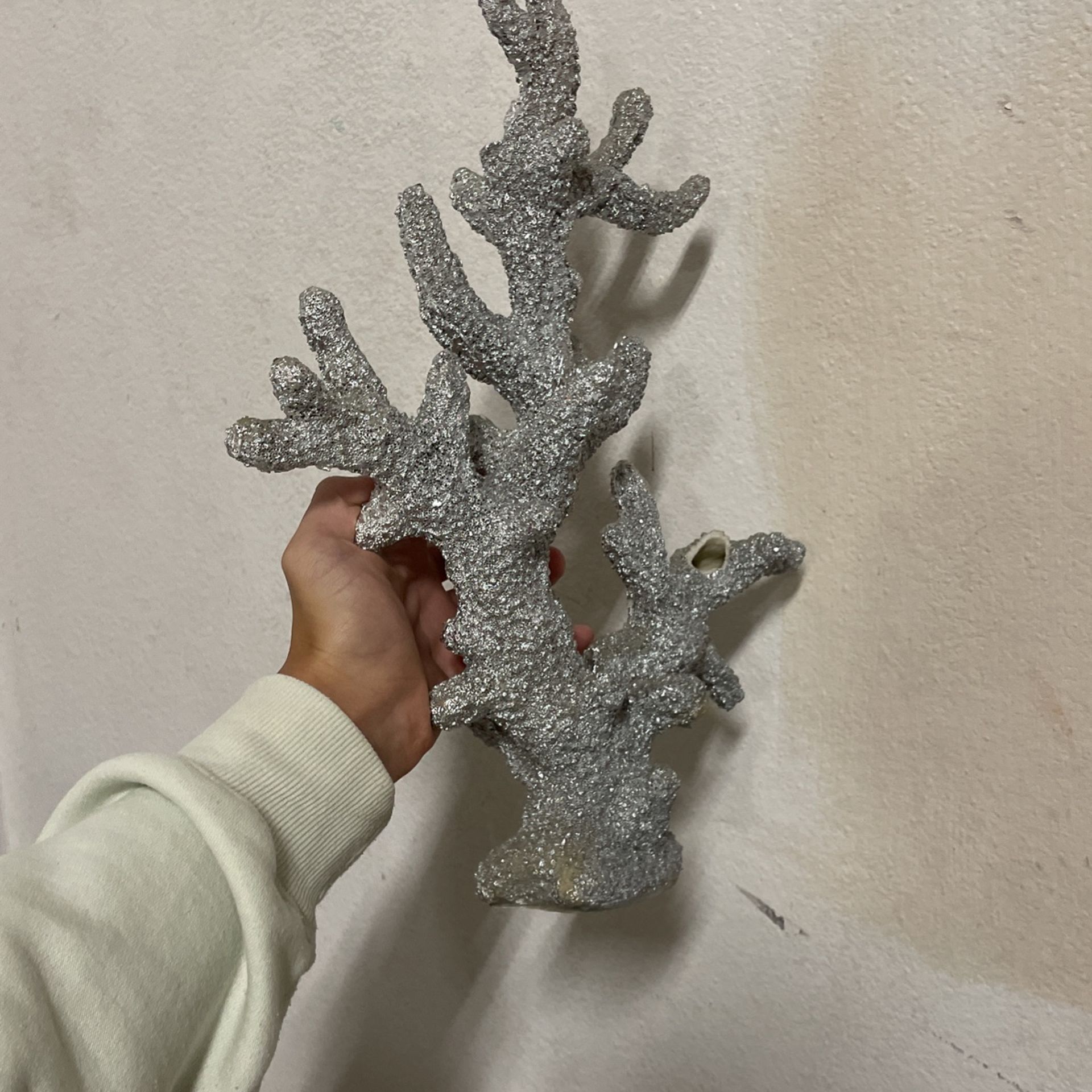 Coral Decor