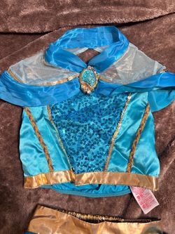 Princess Jasmine Costume