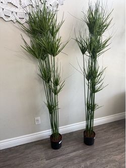 Set Of 2 6 FT Artificial Cyperus Trees