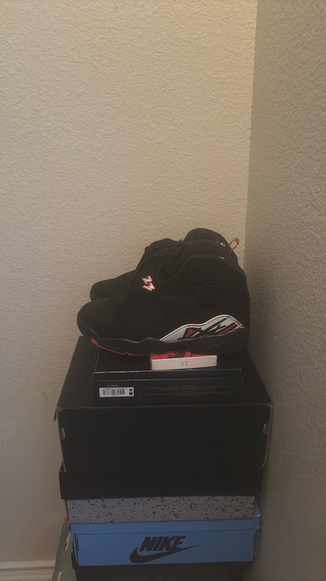 Jordan 8 Playoffs