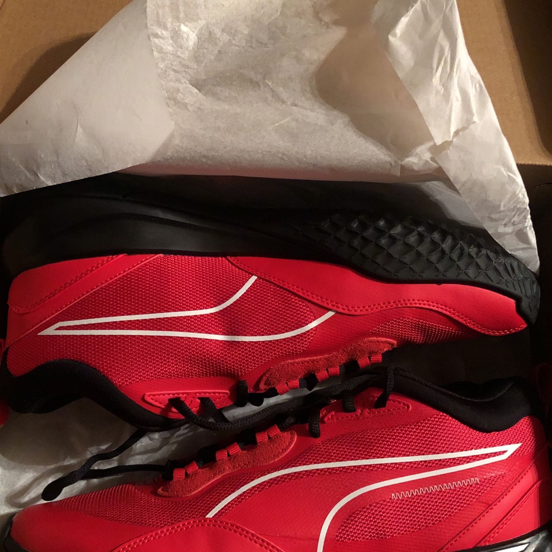 Puma Size 11