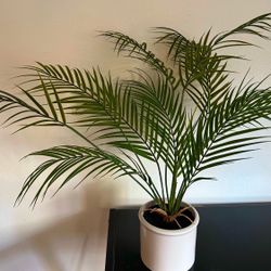 5 Fake Palm Plants