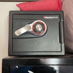 Sentry Safe