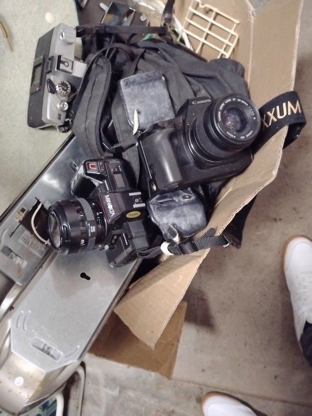 Canon