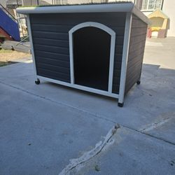 Dog House 