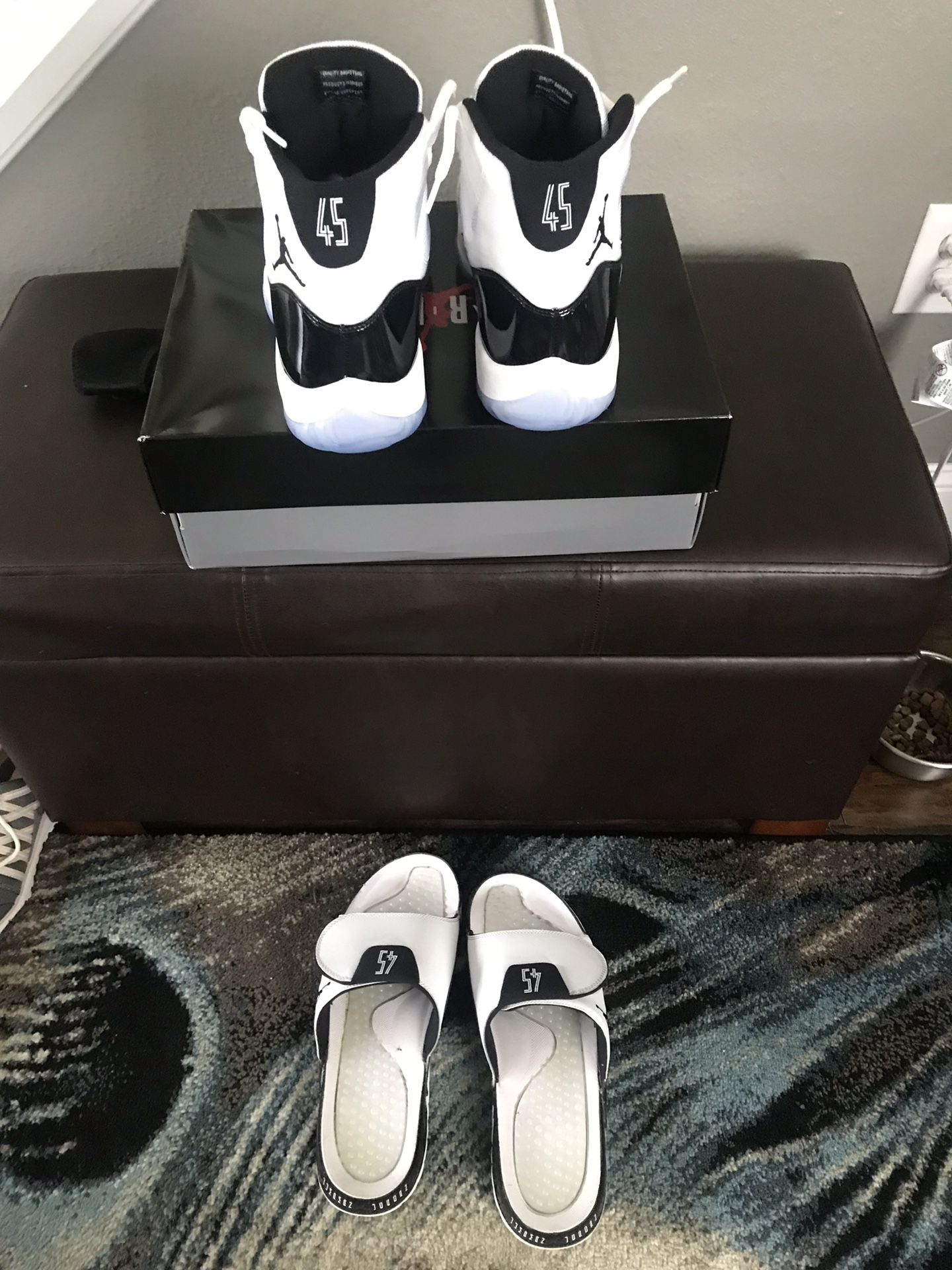 Jordan 11 Concords size13